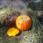 Kochen-Kürbissuppe-compressor